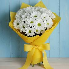 Букет цветов из:  Хризантемы в Прогрессе Ставропольского края