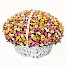 Премиум букет из: Розы #REPLACE_PRED# Прогрессе Ставропольского края