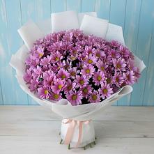 Букет цветов из:  Хризантемы #REPLACE_PRED# Прогрессе Ставропольского края