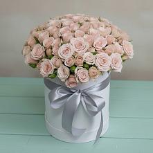 Цветочная композиция из Розы в шляпной коробке в Прогрессе Ставропольского края