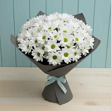 Букет цветов из:  Хризантемы в Прогрессе Ставропольского края