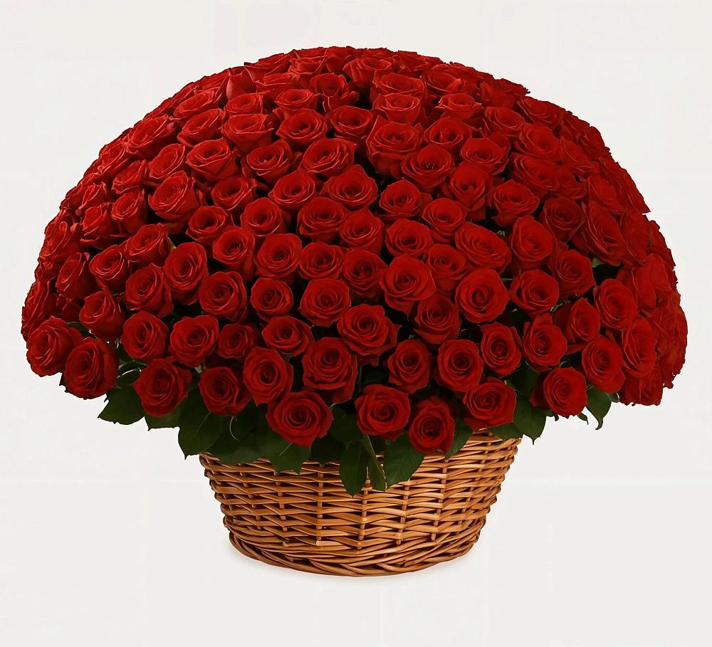 Премиум букет из: Розы в Прогрессе Ставропольского края