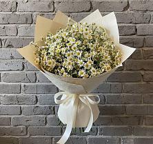 Букет цветов из:  Ромашки в Прогрессе Ставропольского края