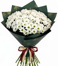 Букет цветов из:  Хризантемы в Прогрессе Ставропольского края