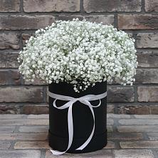 Цветочная композиция из Гипсофила в шляпной коробке в Прогрессе Ставропольского края