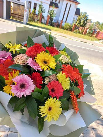 Букет цветов из: Герберы в Прогрессе Ставропольского края