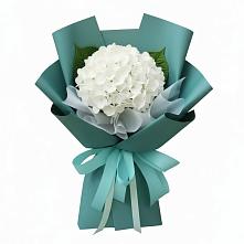 Букет цветов из:  Гортензия #REPLACE_PRED# Прогрессе Ставропольского края